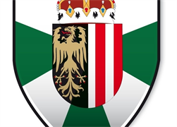 Logo Militärkommando