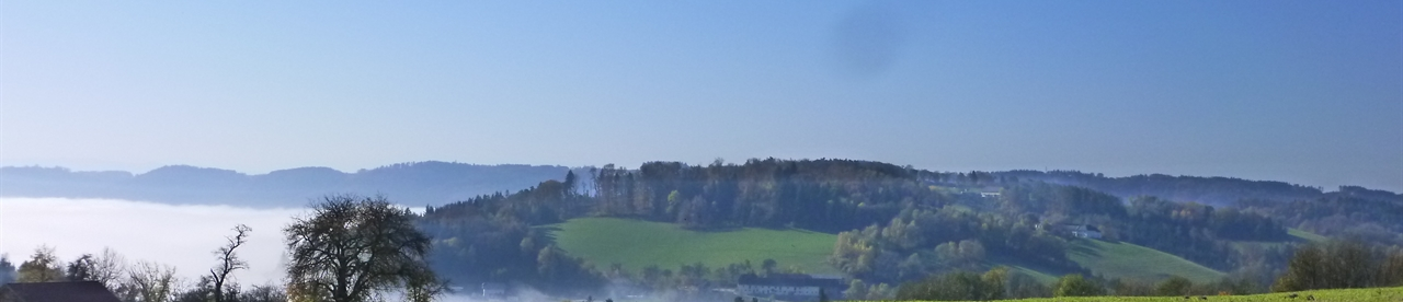Blick von Dorf in den Nebel